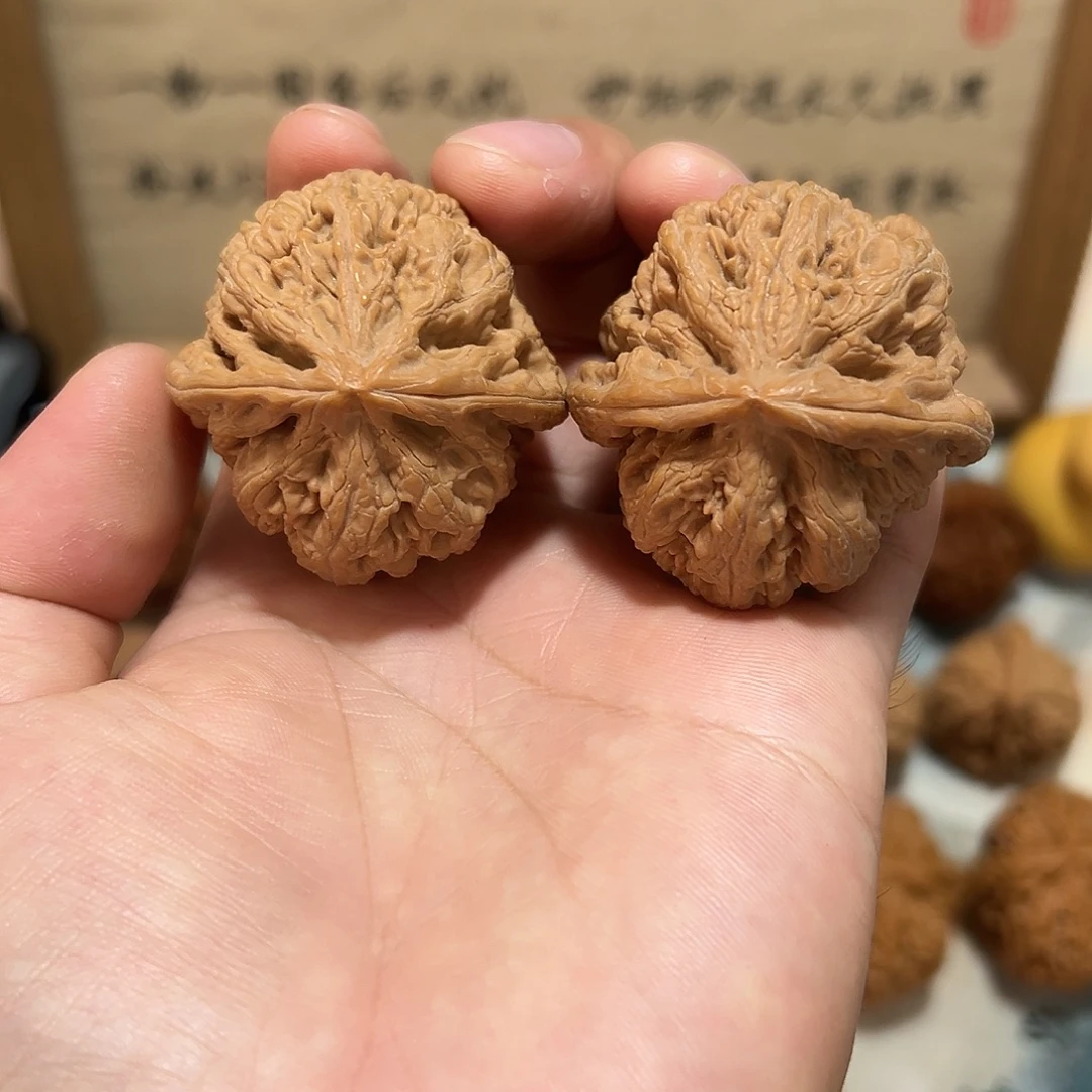 5号文玩核桃43.5尺大粗筋