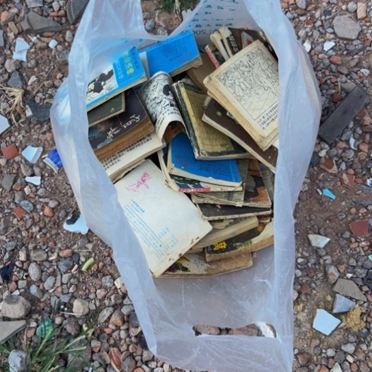 《***7杂色豆（科檀/科特迪瓦檀木）