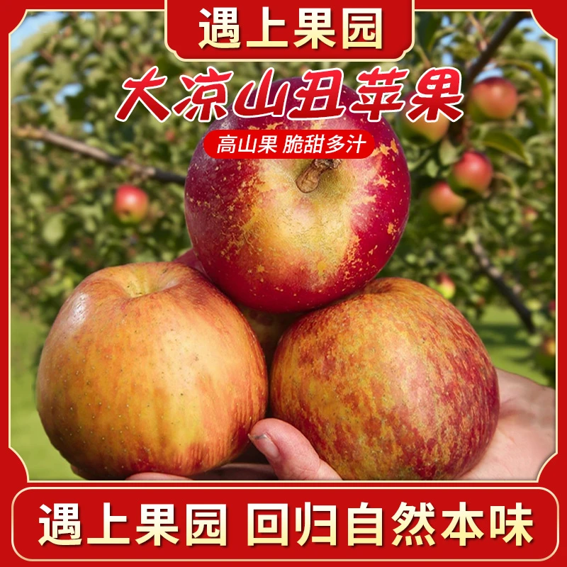遇上果园【A级果】正宗大凉山盐源冰糖心丑苹果脆甜多汁新鲜