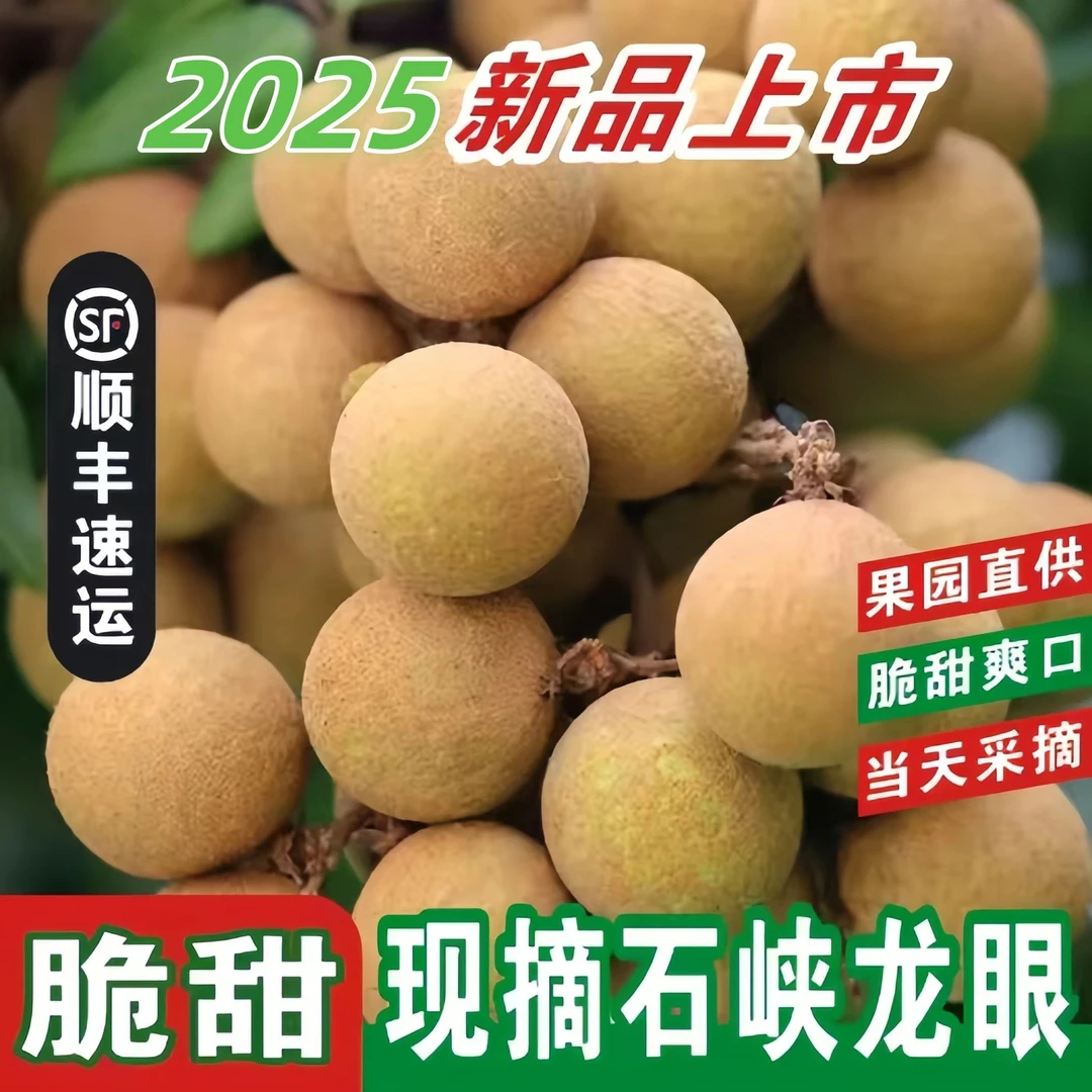 现摘现发 新鲜采摘 石硖龙眼 肉质清甜 当季水果皮薄多汁热带水果