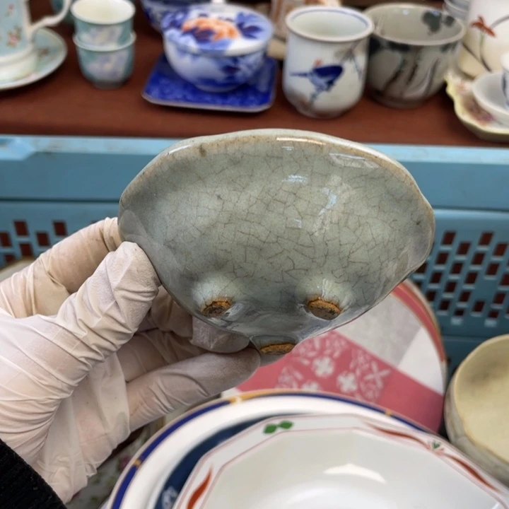 陶他家瓷器真美…开播了