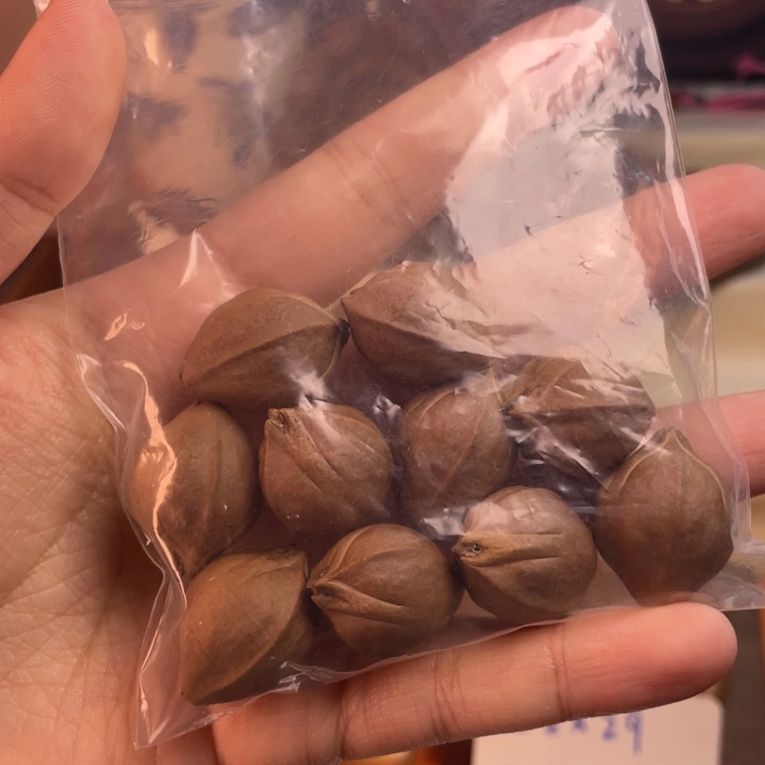 李***李手串/手链橄榄核1824梅林铁核三面佛精品