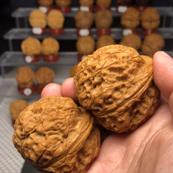 文玩核桃把件38霸王蟾