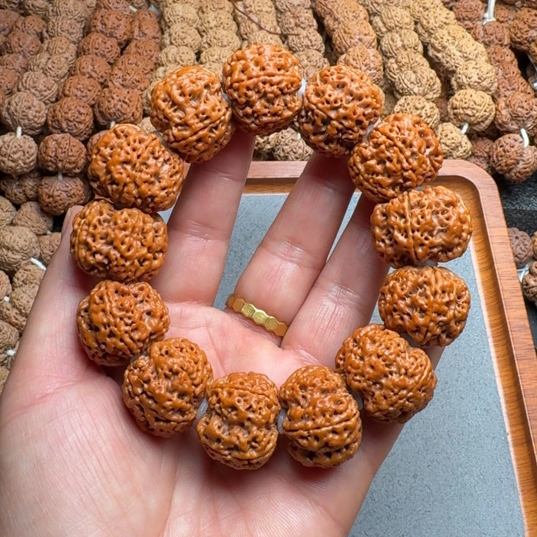 菩提菩提2号尼泊尔大金刚26梅花蜂窝