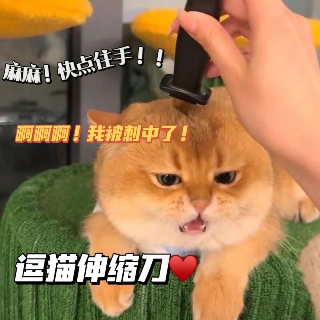 玩具刀整蛊玩具恶搞伸缩匕首安全奇葩搞笑玩具整人玩具逗猫玩具