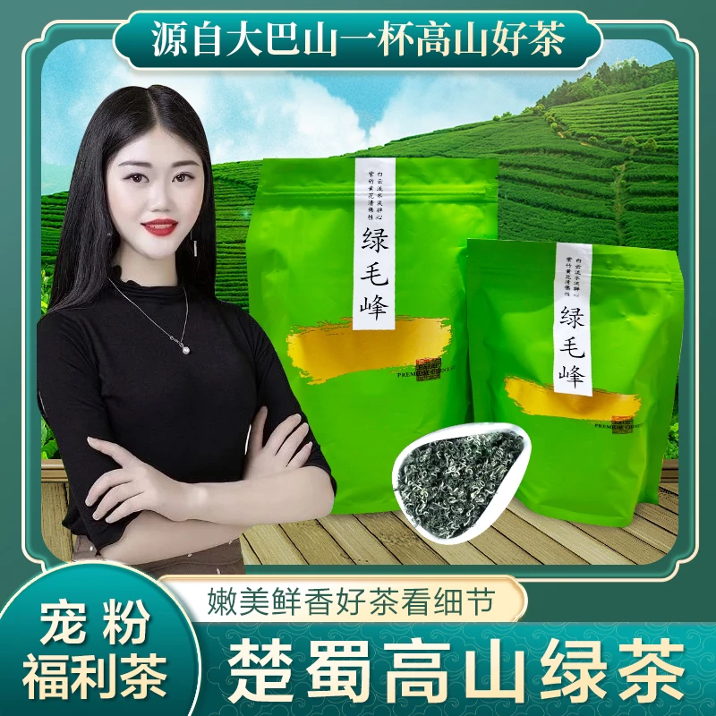 楚蜀高山绿茶卷毛峰浓香型云雾茶叶嫩芽毛尖