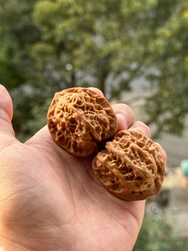 磐石 边肚39 高42 45g 文玩核桃 一图一物