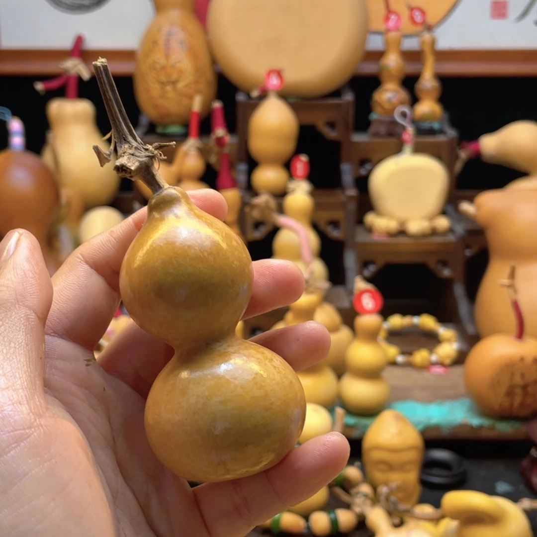 佳*?大自然的秘密第十一章
