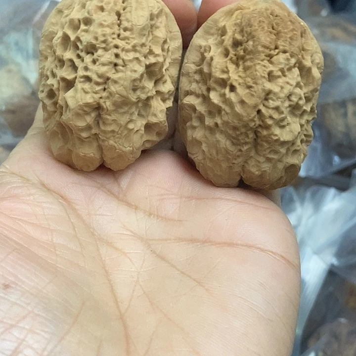 木质类云南铁核桃基地32