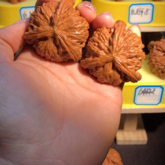 大***超核桃手串/手链白狮子三棱