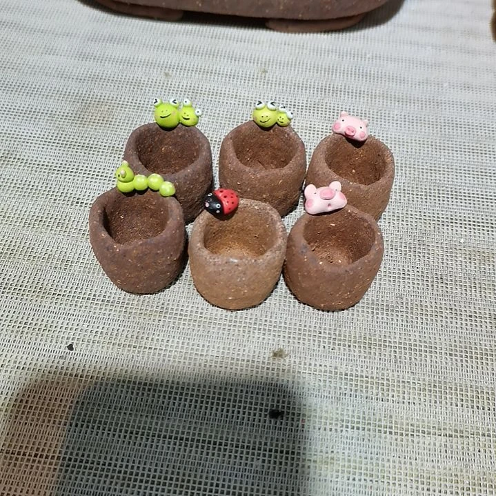 陶浅****?特价拇指盆6个