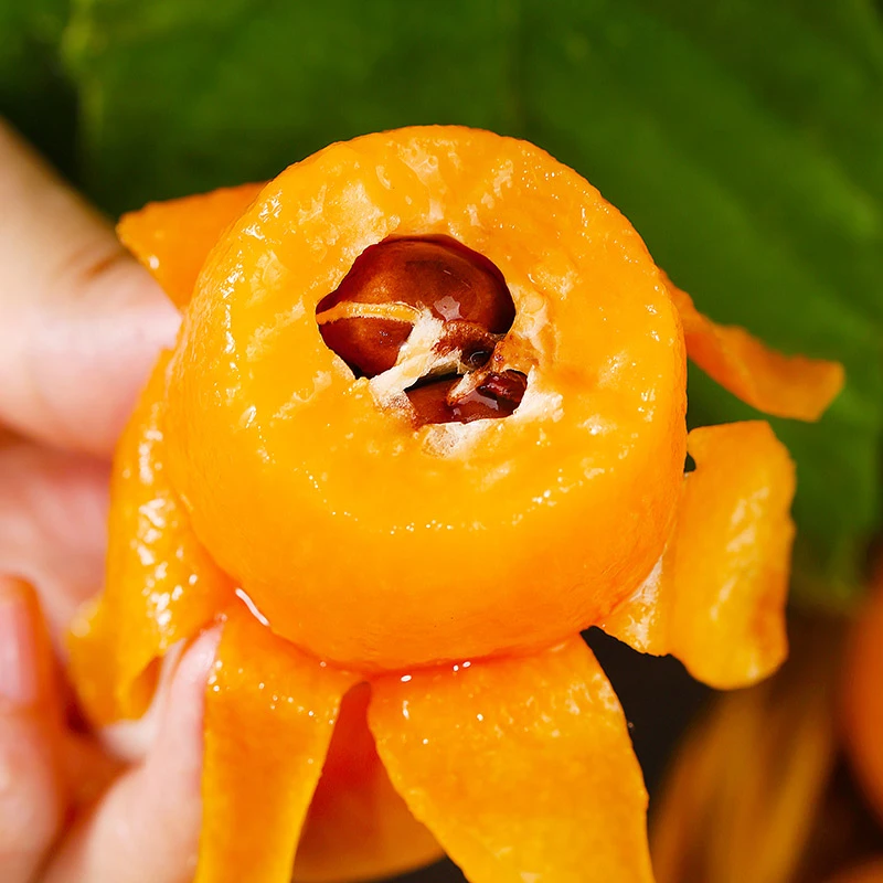 【顺丰速运】四川汉源高山甜琵琶树熟大五星枇杷净重3斤5斤