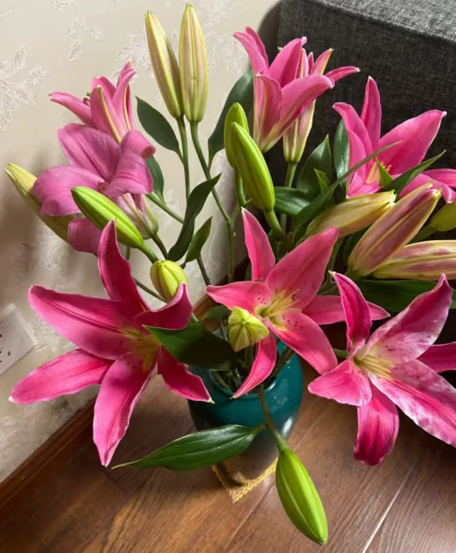 【西诺红】香水百合  |  全场任意满两单及以上鲜花包邮