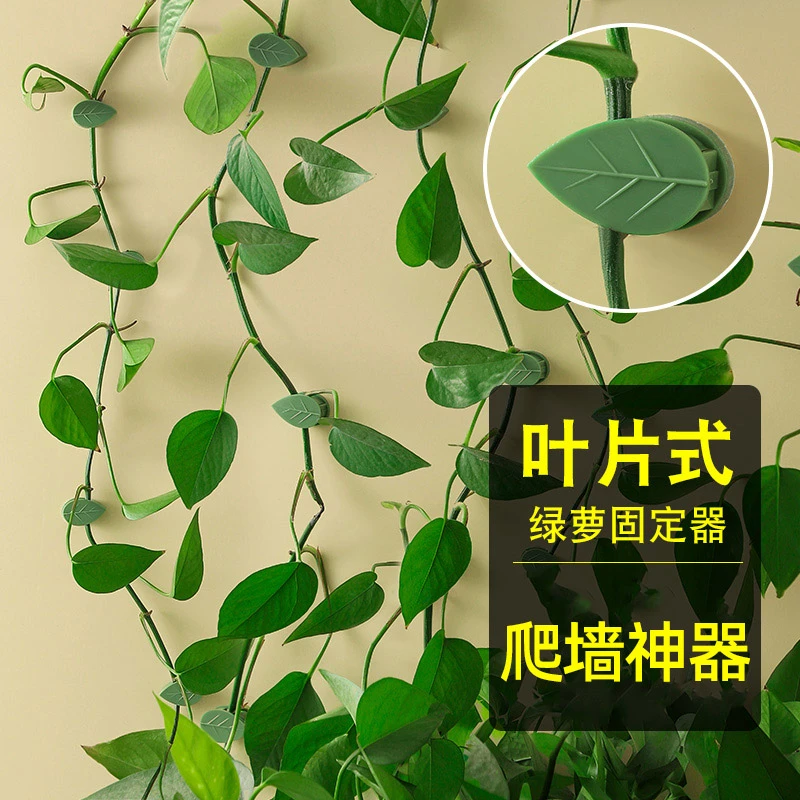 绿萝爬墙固定器墙上绿箩固定花的卡扣爬藤吸盘攀藤勾夹扣挂墙神器
