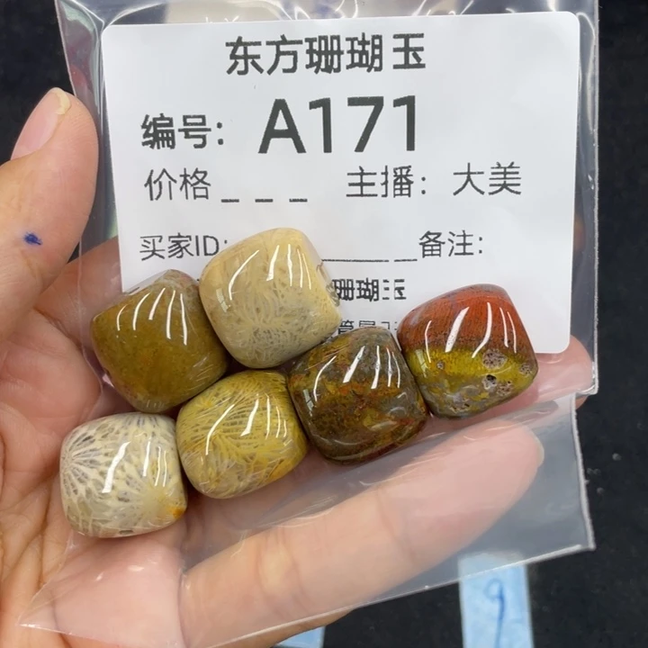 透***明硅化珊瑚（珊瑚玉）合金颈饰