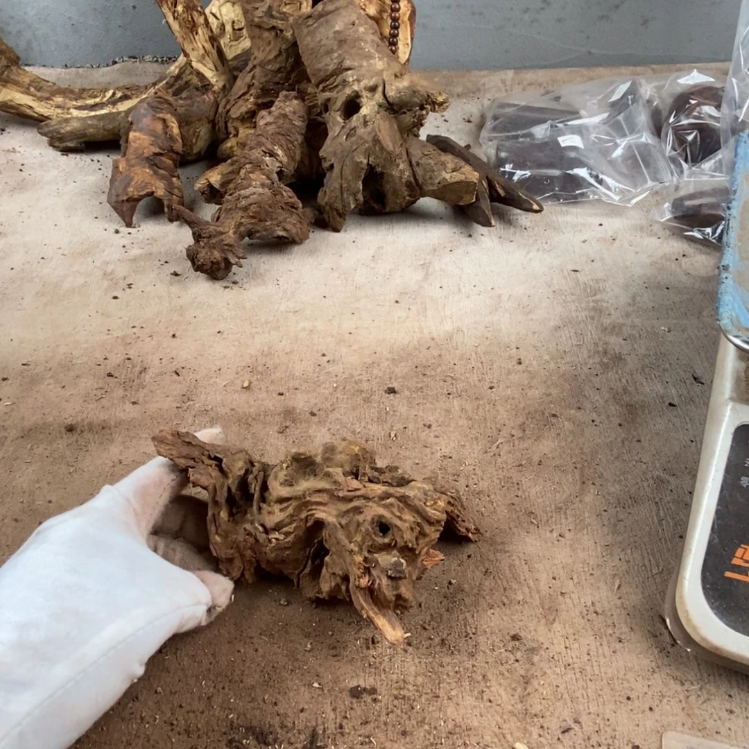 鱼***龍黄花梨/降香黄檀降香黄檀黄花梨