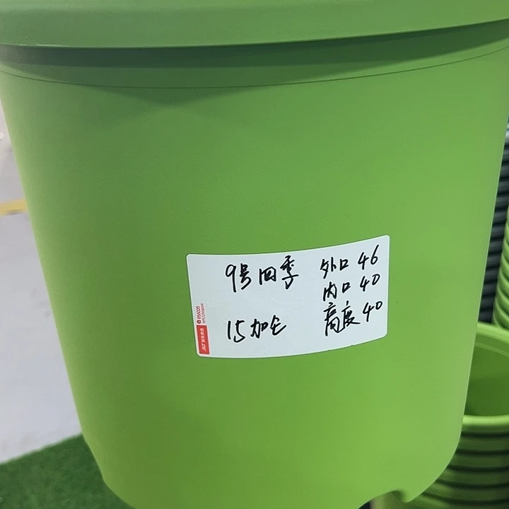特价9号四季口46高40果绿无托2只