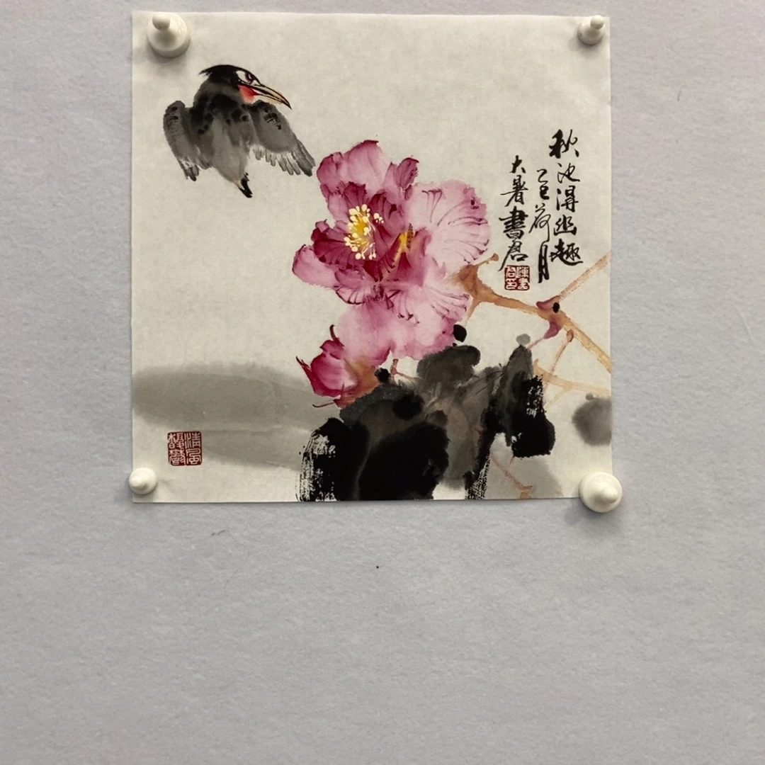 紫***夜国画墨鱼精品墨鱼精品