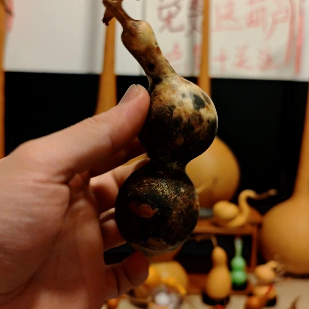 风***清直播间专拍葫芦葫芦