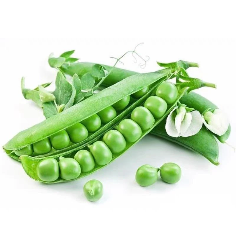 甜脆嫩豌豆云南高原露天种植带壳豆豌荚新鲜蔬果菜原产地现摘现发