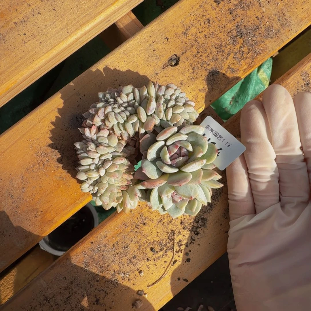 h h h h h h h h h 14