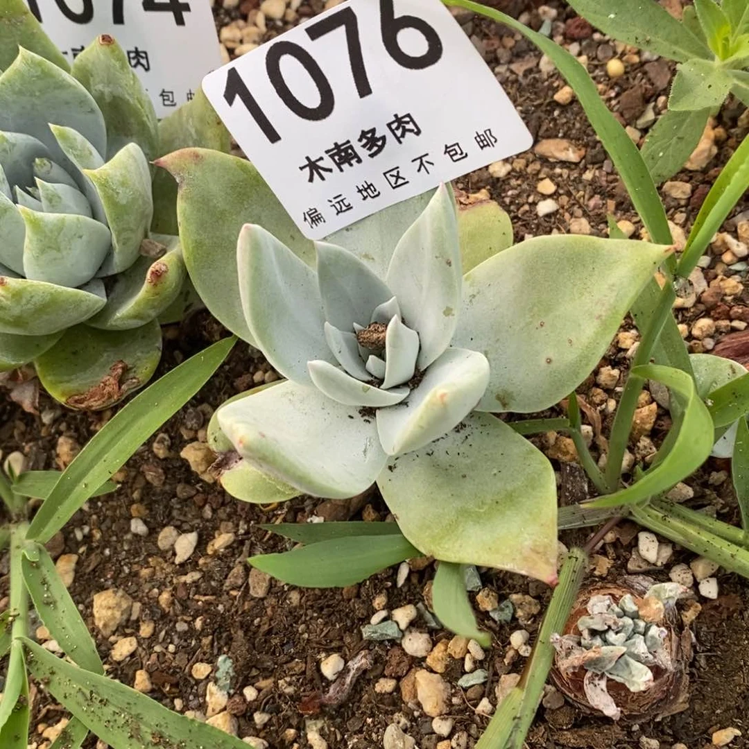 1076哈哈哈哈哈哈哈哈哈