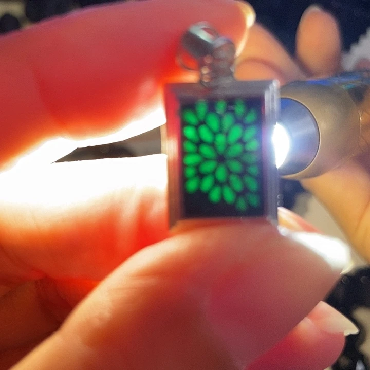 翡翠银S925镶嵌颈饰墨翠