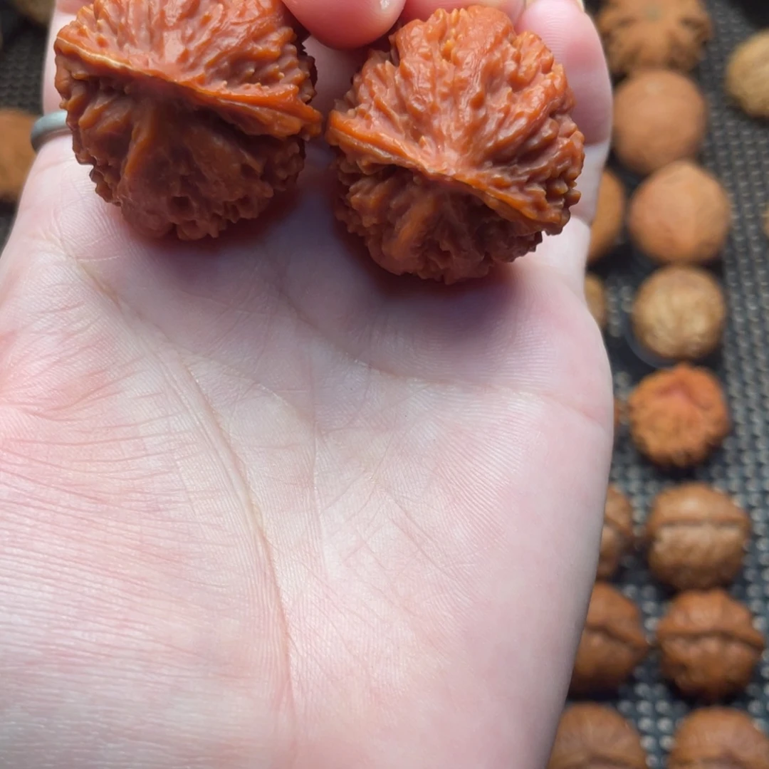 文玩把件野生满天星