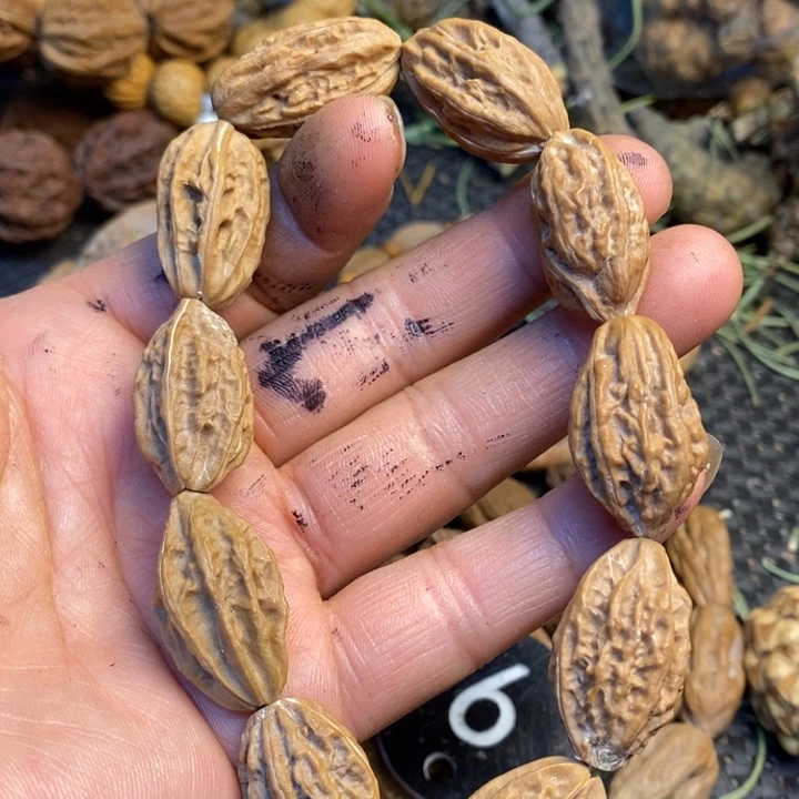 大***宝文玩核桃吊坠娜姐159