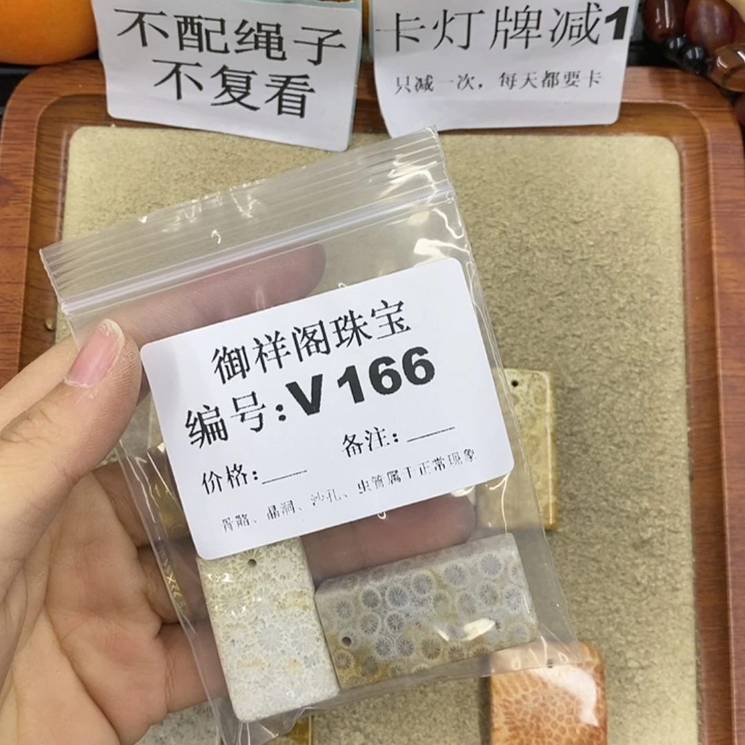 硅化珊瑚（珊瑚玉）颈饰未镶嵌刘*岁