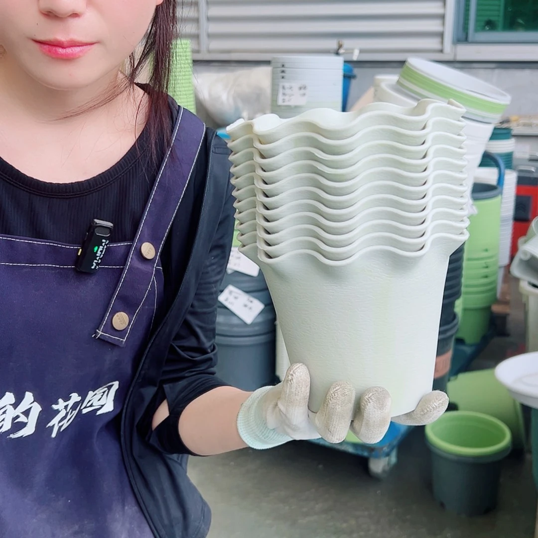 瑕疵荷叶盆1#米白10个无托