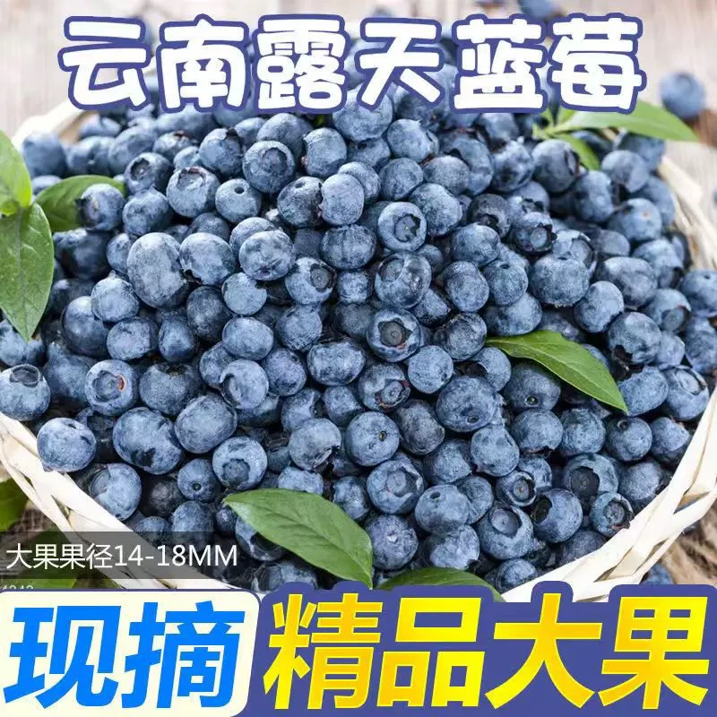 【新鲜发货】云南现摘蓝莓鲜果当季新鲜水果孕妇蓝梅高山甜莓包邮