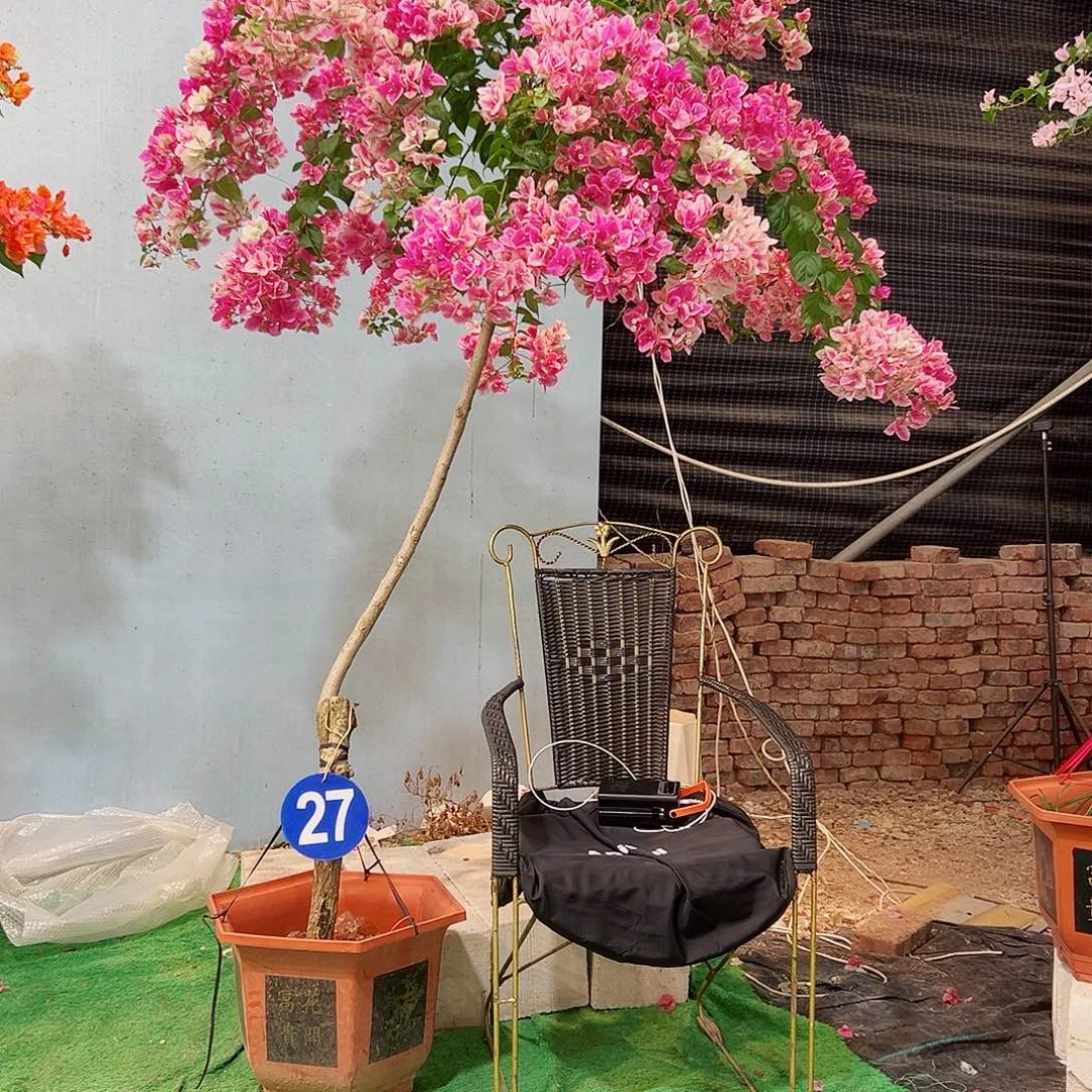 峨***侠完全开放三角22222222