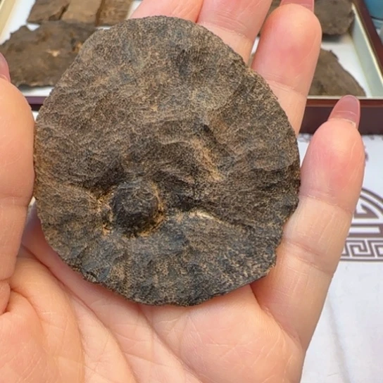 沉香摆件海南沉水包头5克