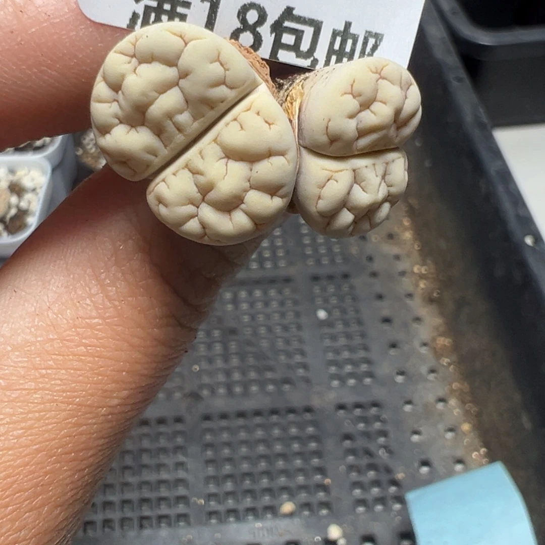 【闪购商品】920……