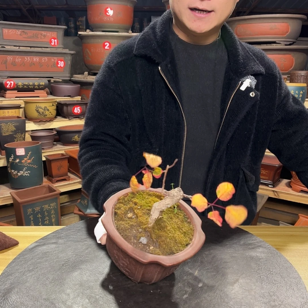 其他紫砂精品紫砂