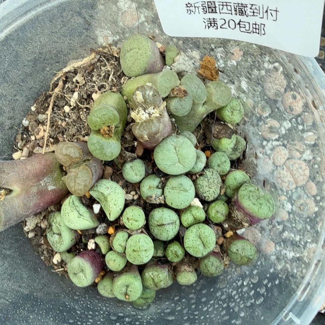 你说吧别在打电话啦575哈哈