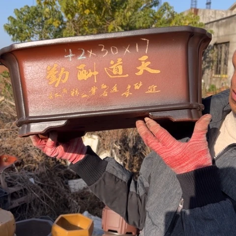 紫砂花盆特价包邮送