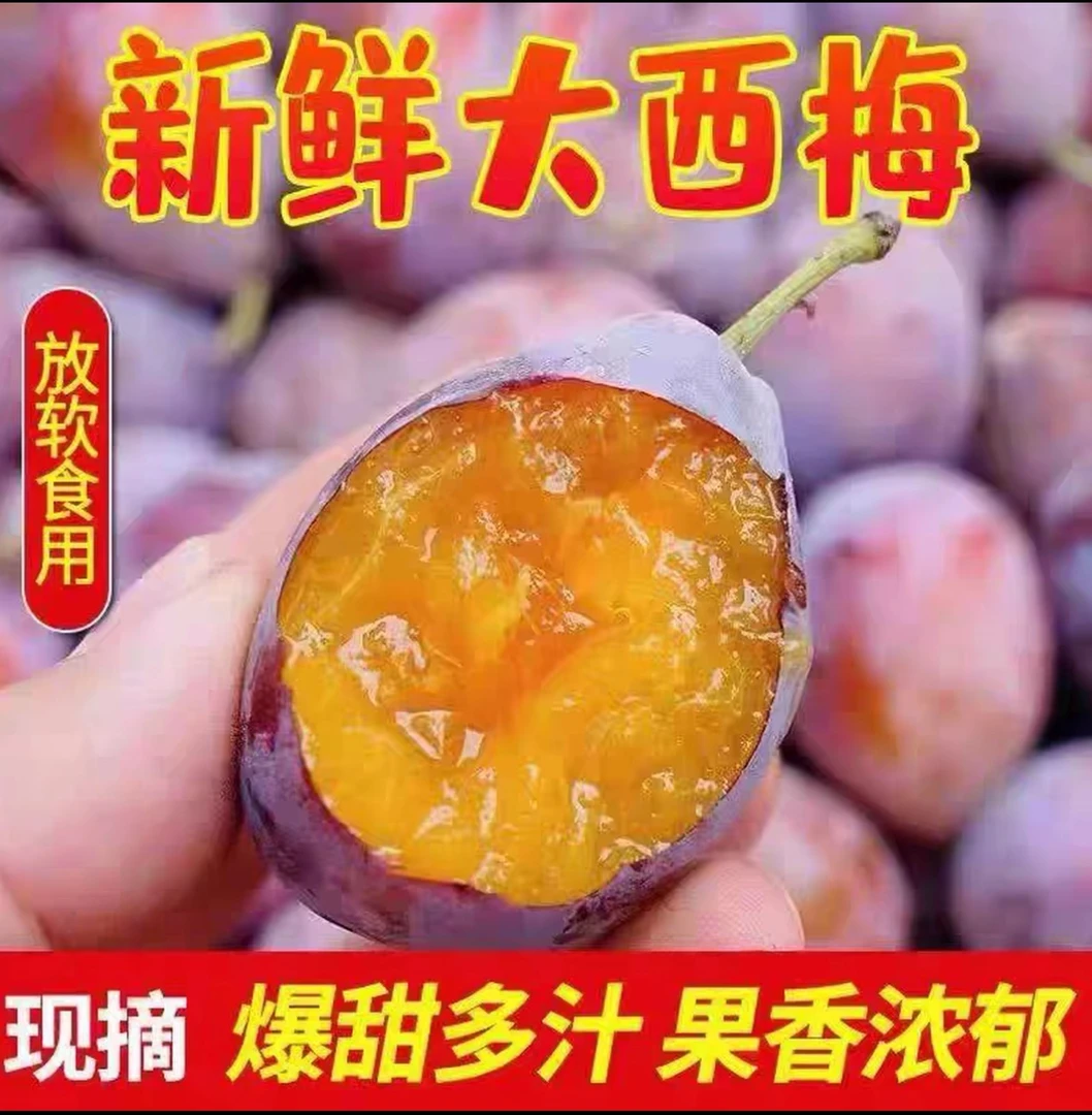 新鲜大西梅甜西梅当季新鲜水果现摘脆甜西梅大果包邮