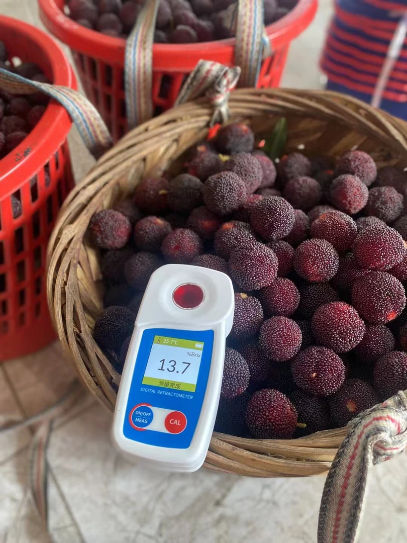 龙海浮宫新鲜杨梅产地直发【冷链包邮】偏远地区不发勿拍