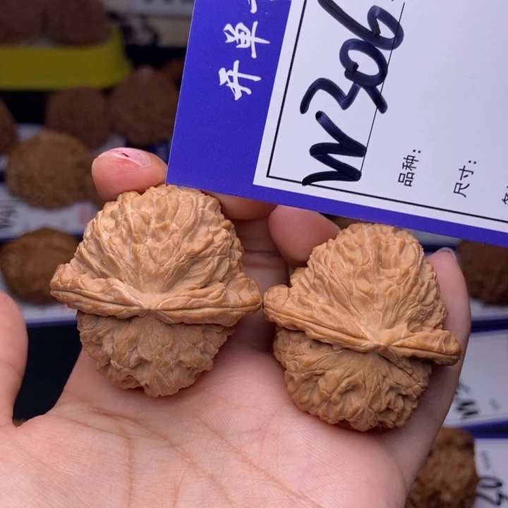 保**王W306链接 全品白狮子39尺 000