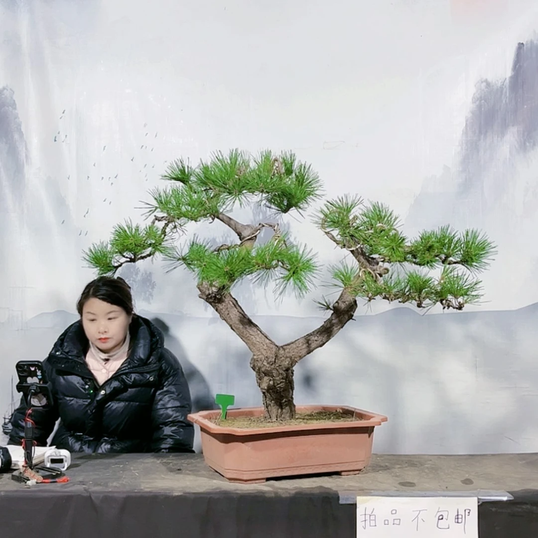 【闪购商品】无花朵运费到付