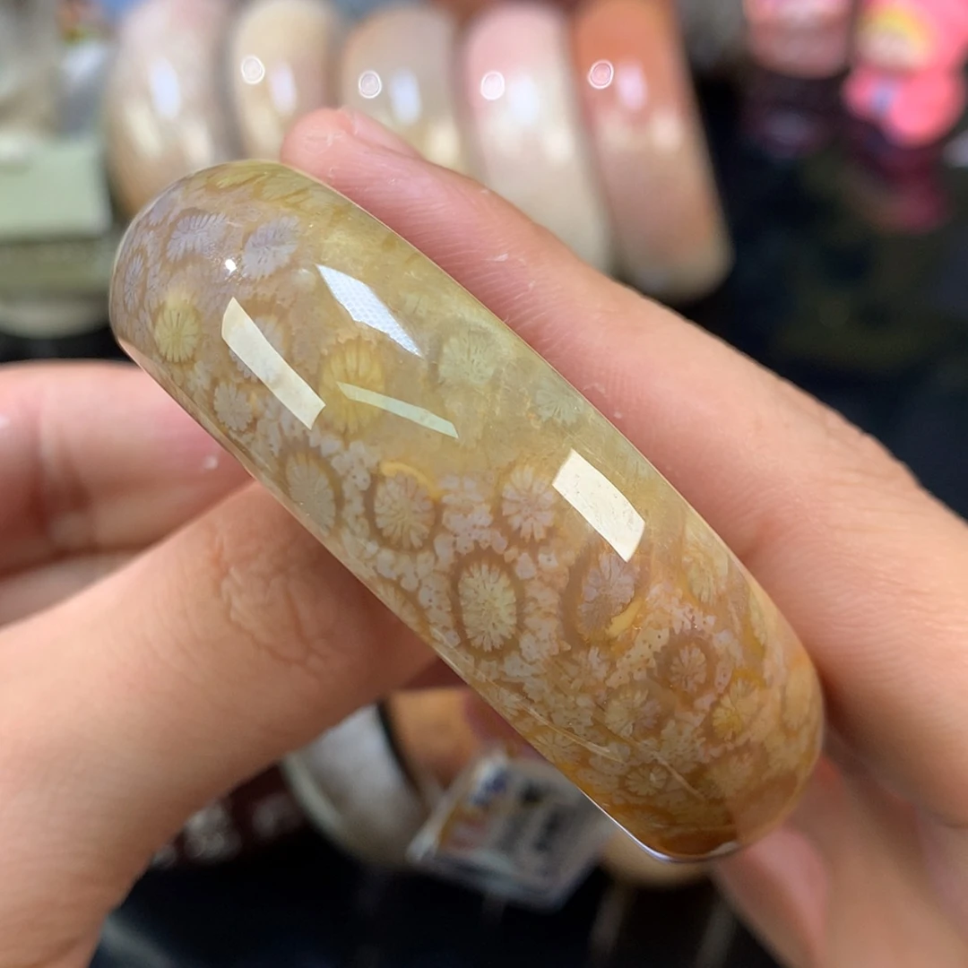 【闪购商品】颈饰未镶嵌硅化珊瑚（珊瑚玉）83号52.8圈3k同料性价