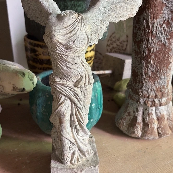 吹***风许纯的花房 孤品 021