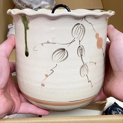 紫砂哈哈哈哈哈哈哈哈