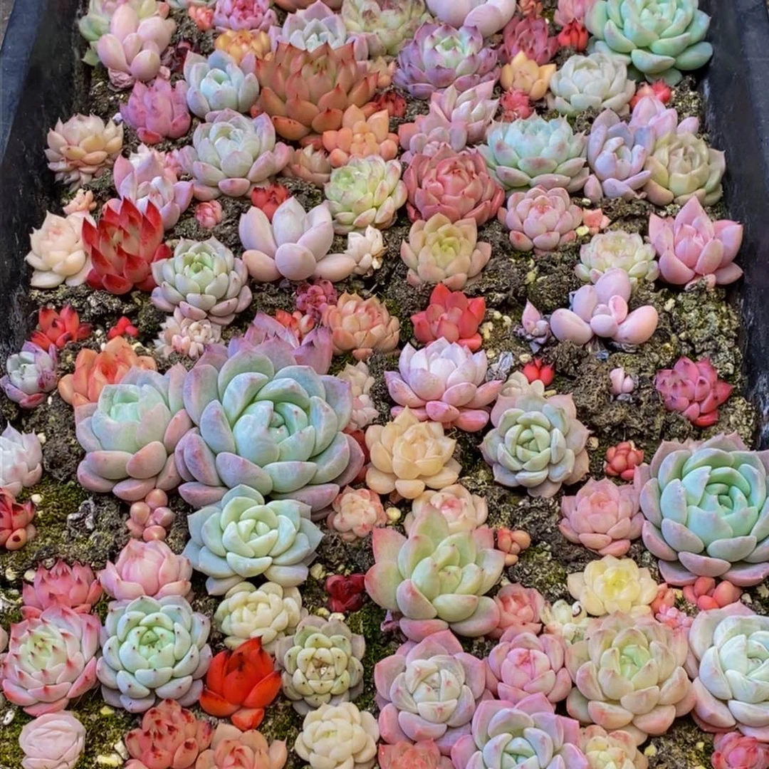 107多人在一起的时候我