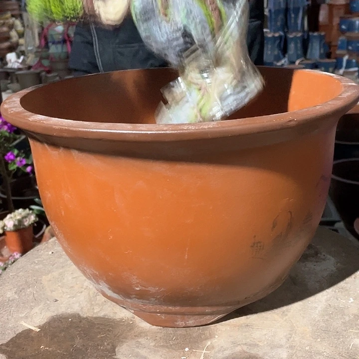 紫砂紫气东来36花盆