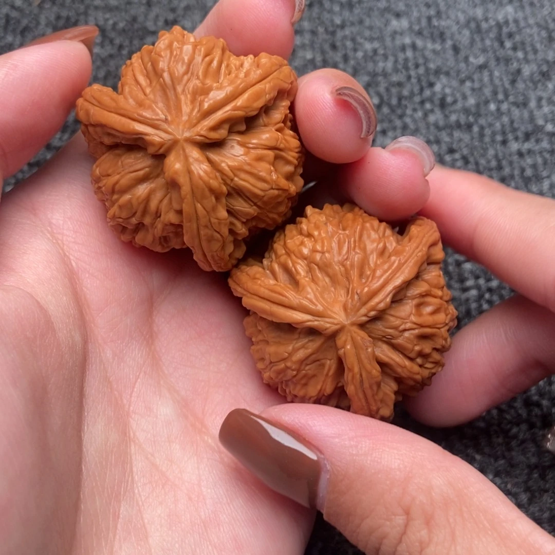 神***扬木质类白狮子正奔