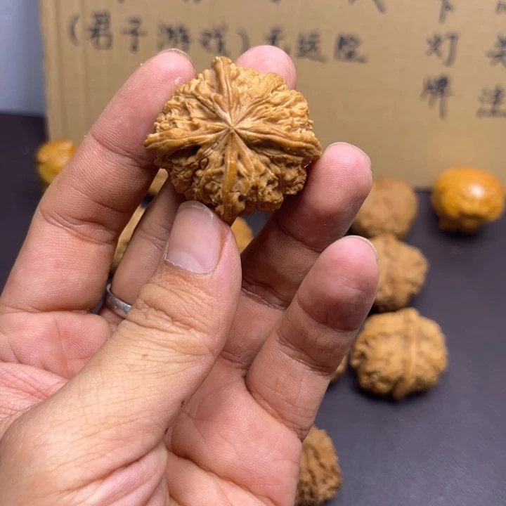熬***狗菩提籽类多棱元宝瑕疵