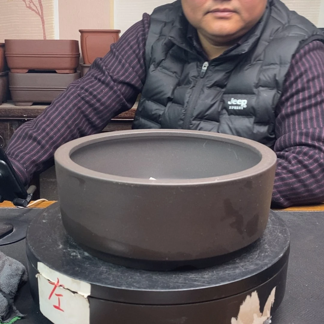 红陶货号一只BB83